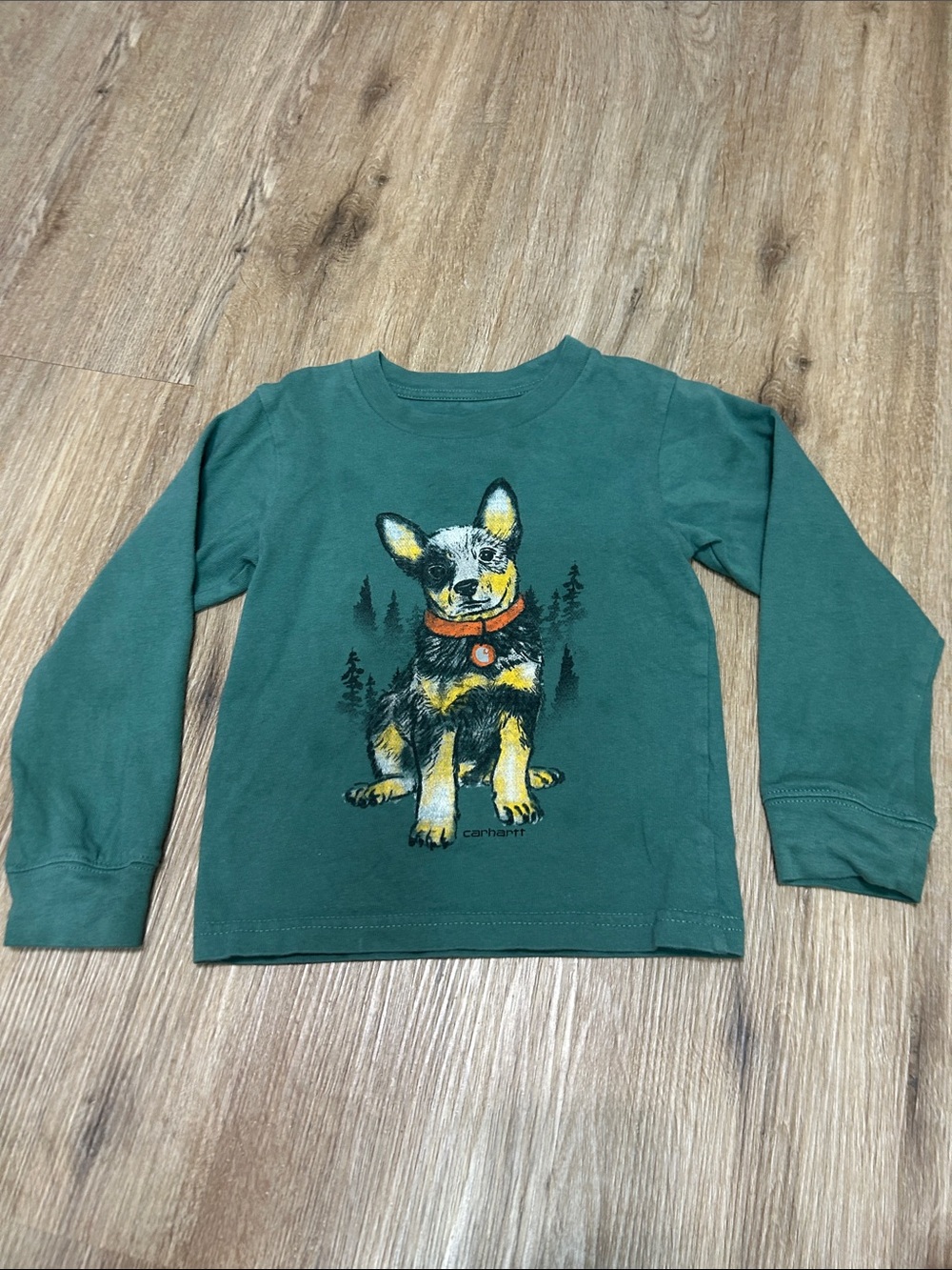 Carhartt Green Long-Sleeve Tee with Playful Dog Graphic